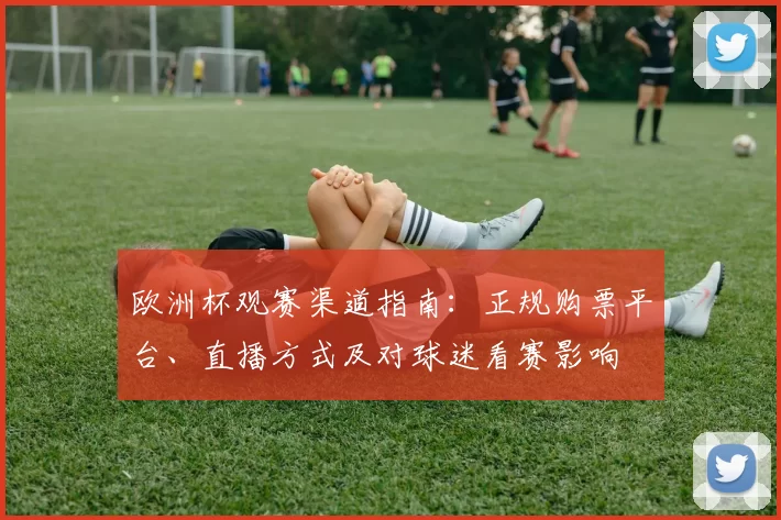 欧洲杯观赛渠道指南：正规购票平台、直播方式及对球迷看赛影响