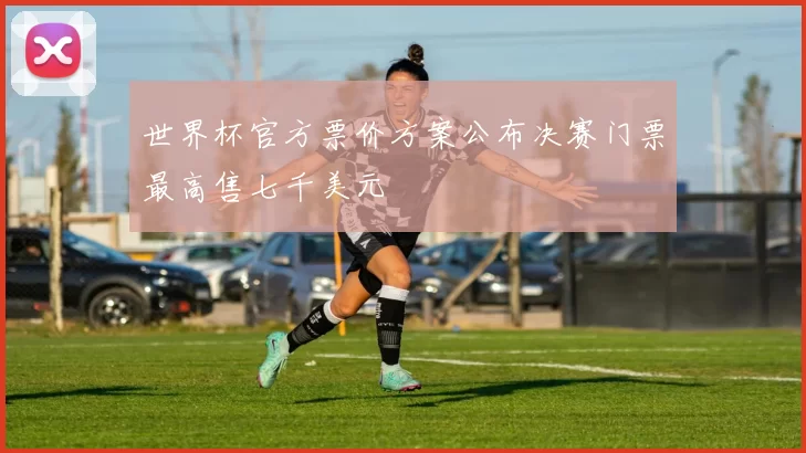 世界杯官方票价方案公布决赛门票最高售七千美元