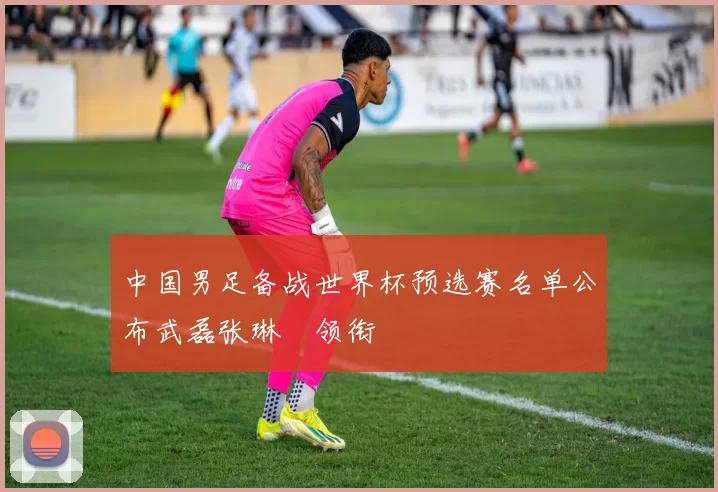 中国男足备战世界杯预选赛名单公布武磊张琳芃领衔