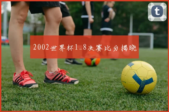 2002世界杯1_8决赛比分揭晓