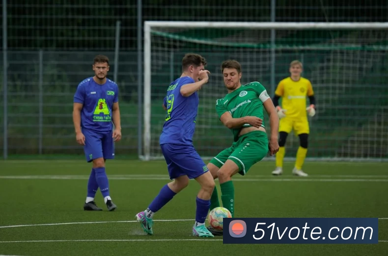 九游体育下载官网APP 封面图